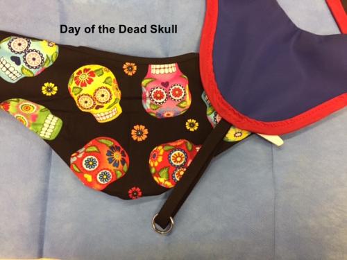 Day of the Dead Skull