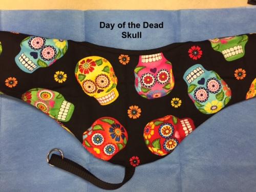Day of the Dead Skull